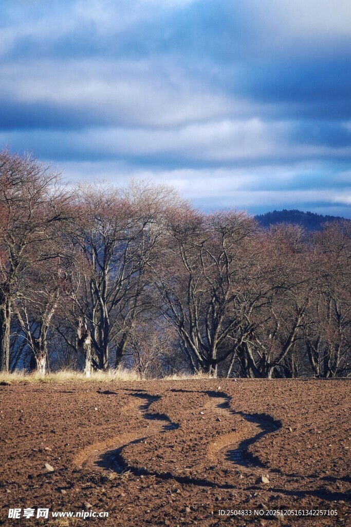 冬日旷野中的蜿蜒小路