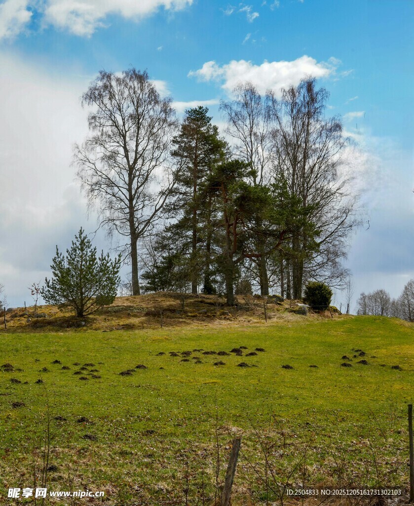 乡村草地树木蓝天美景