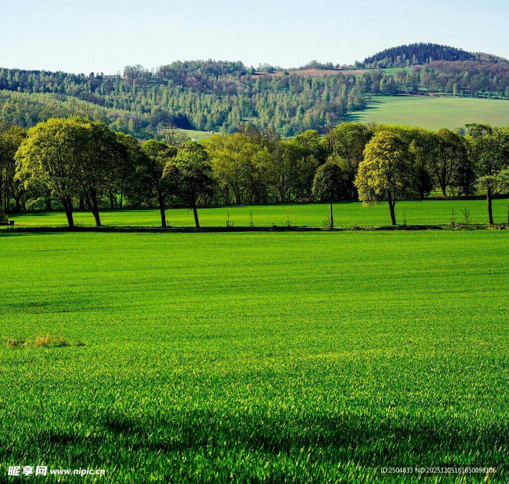 绿色田野与远处山林美景