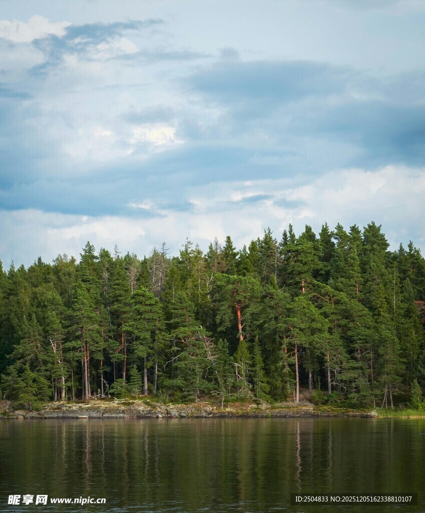 湖畔茂密森林景观