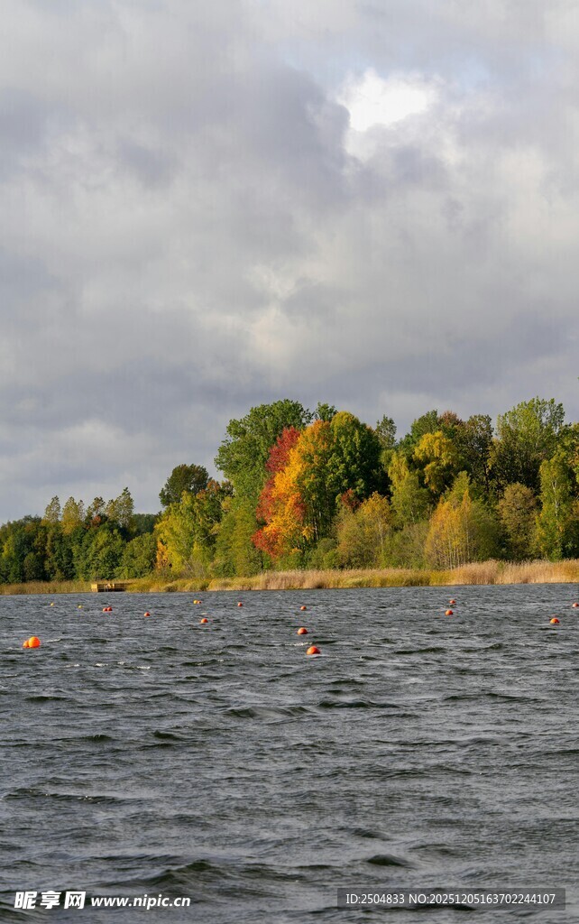 湖畔秋色 水波与树林相映