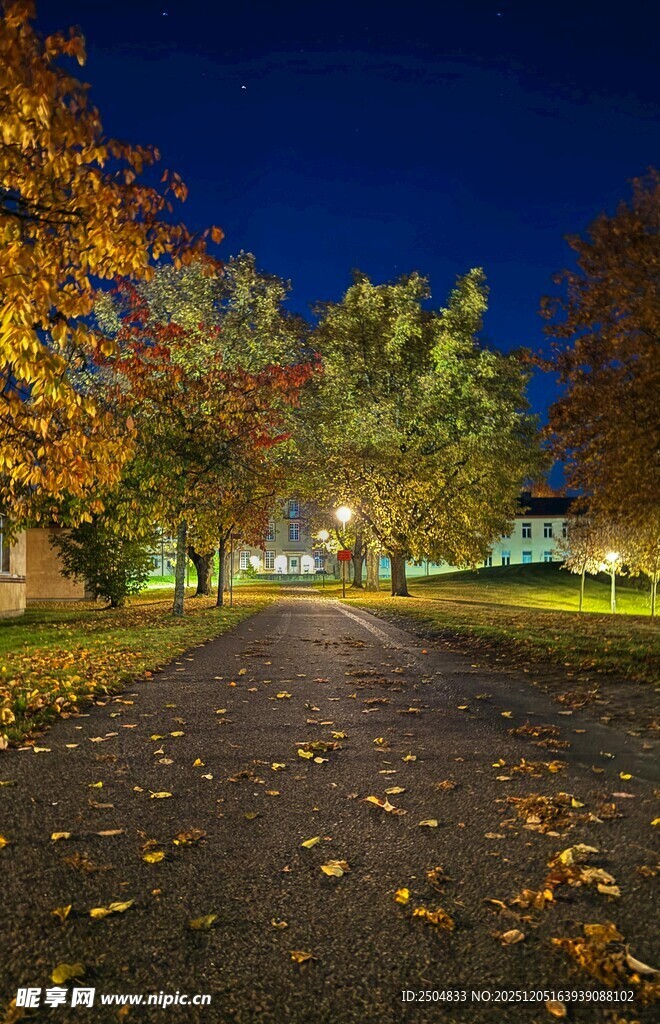 秋夜公园小路的静谧美景