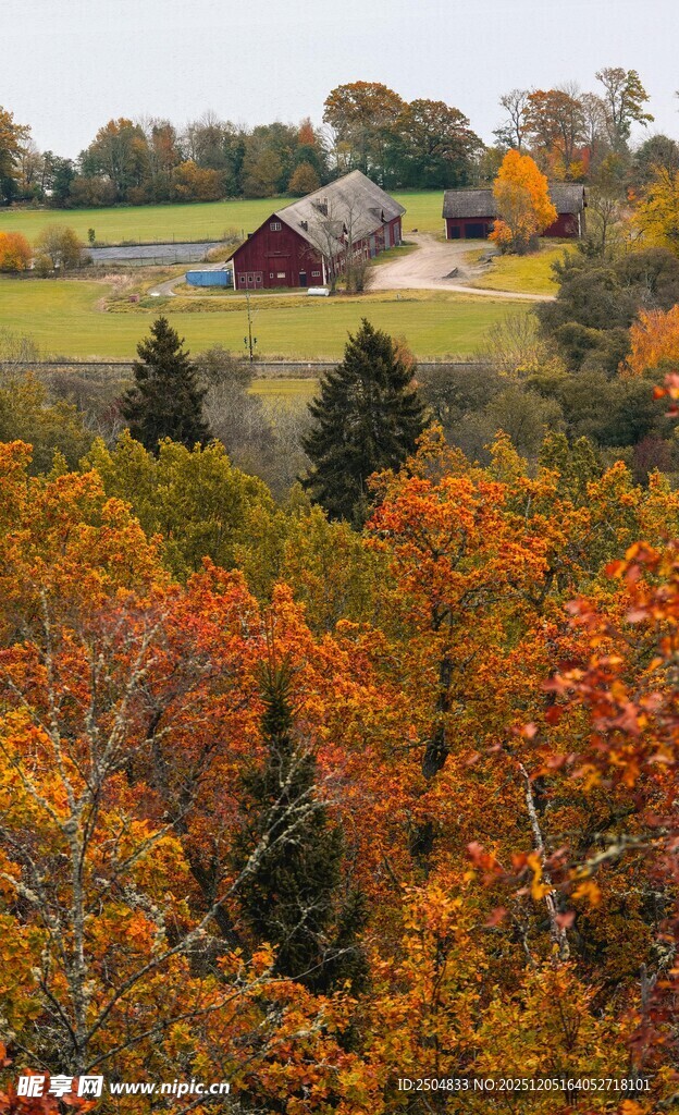 秋日多彩山林中的红顶小屋