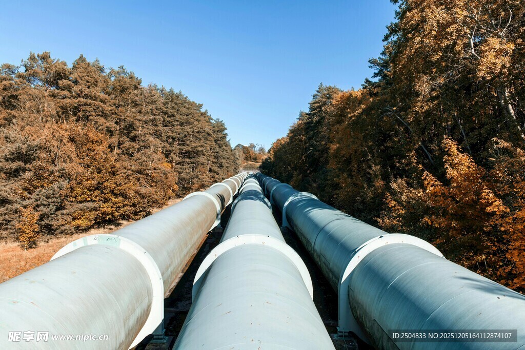 秋日林间的输油管道