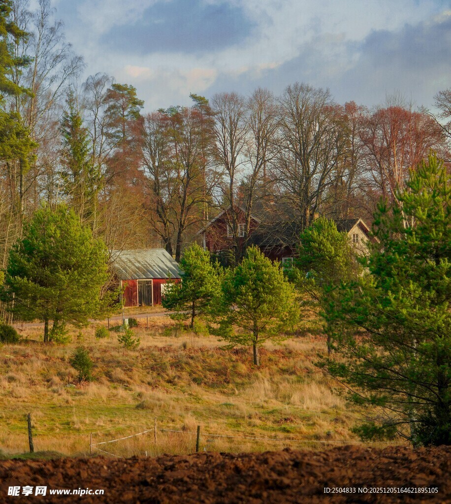 乡村冬日树林中的静谧小屋