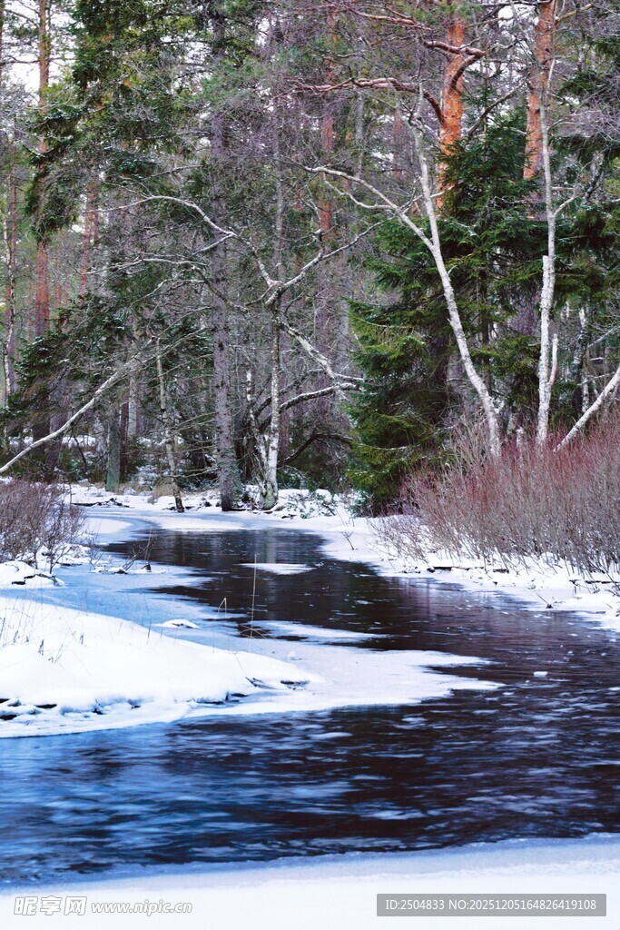 冬日溪边雪景