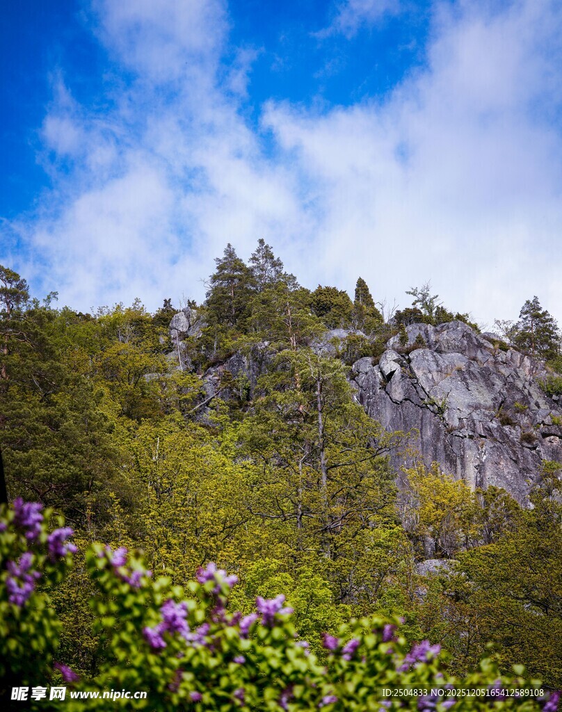 山间繁花伴峭壁美景