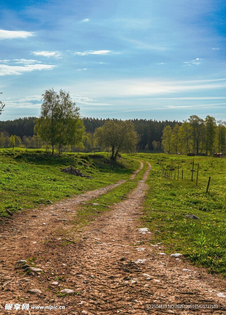 乡间土路 通往自然美景