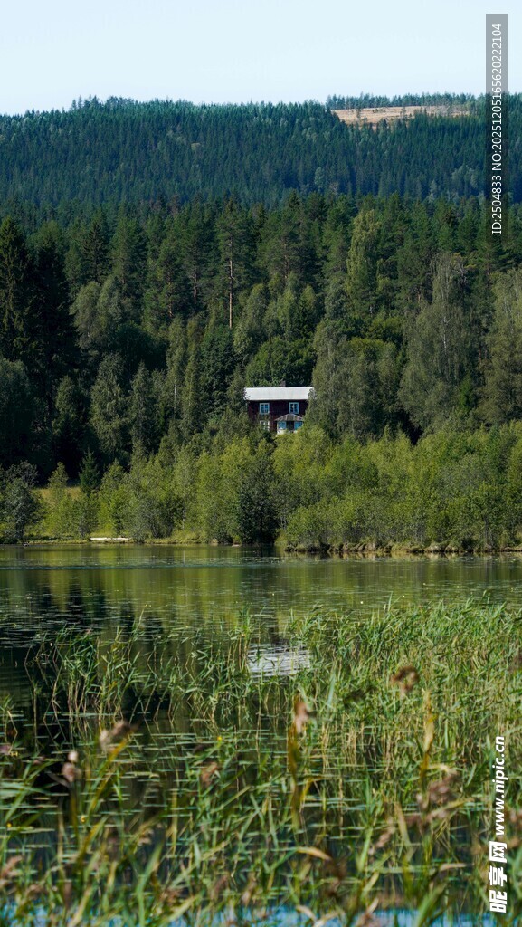 湖畔绿植环绕的静谧风光