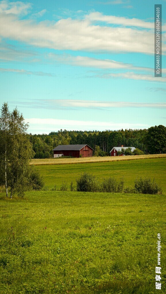 广袤绿野中的乡村景致
