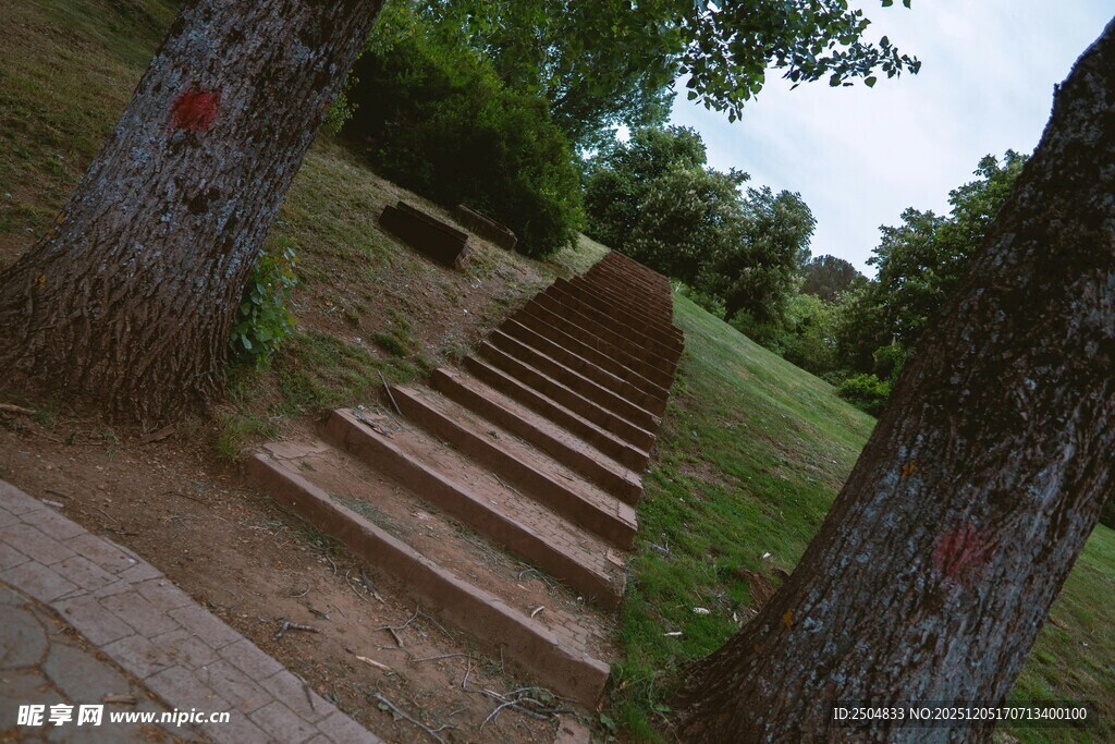 林间石阶小道