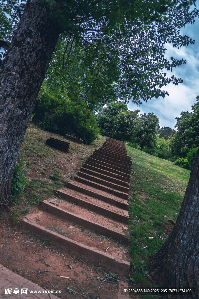 林间石阶 通往自然之境