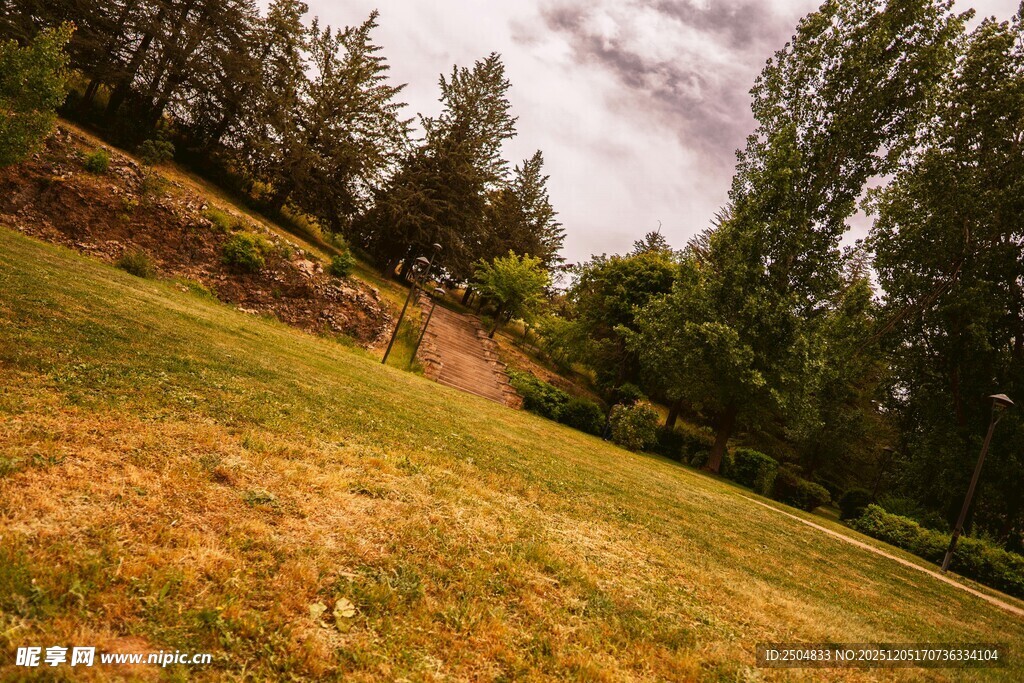 秋日草地与树林美景
