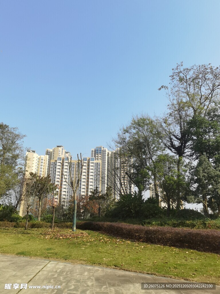 城市住宅区旁的绿化景观