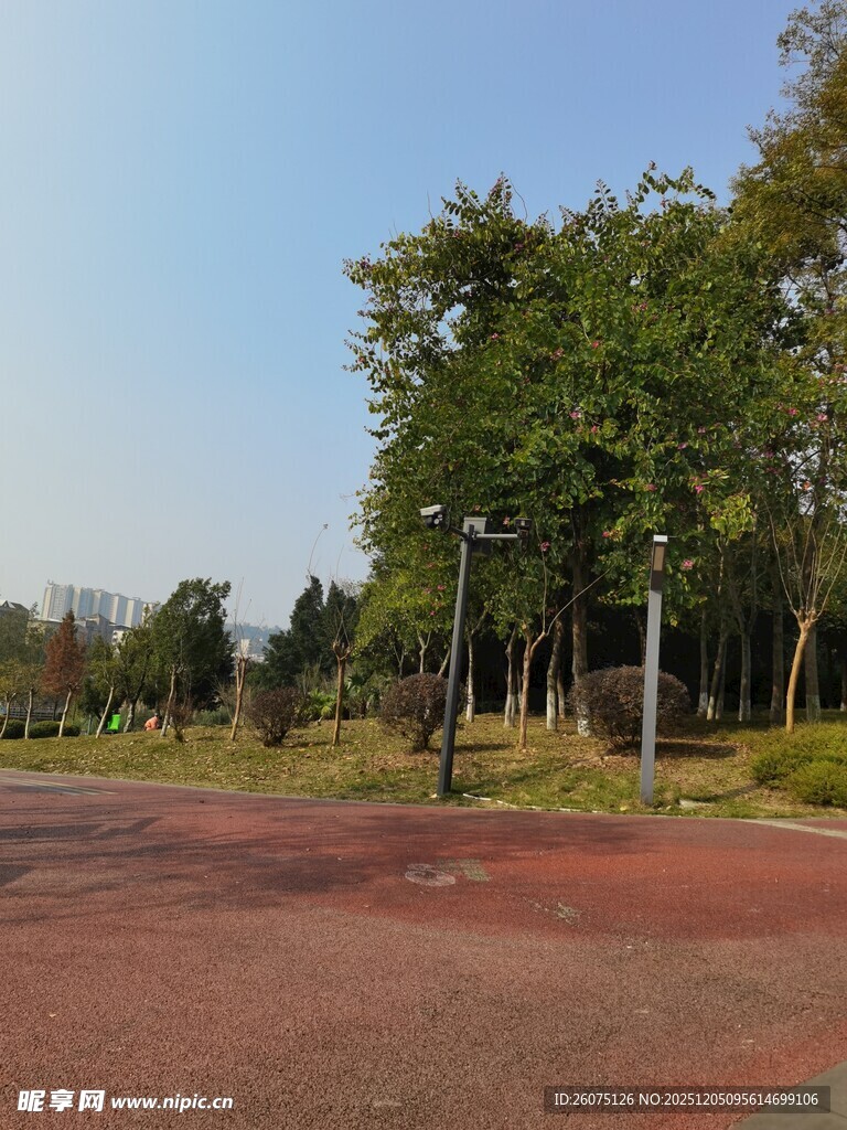 户外林荫下的红色步道