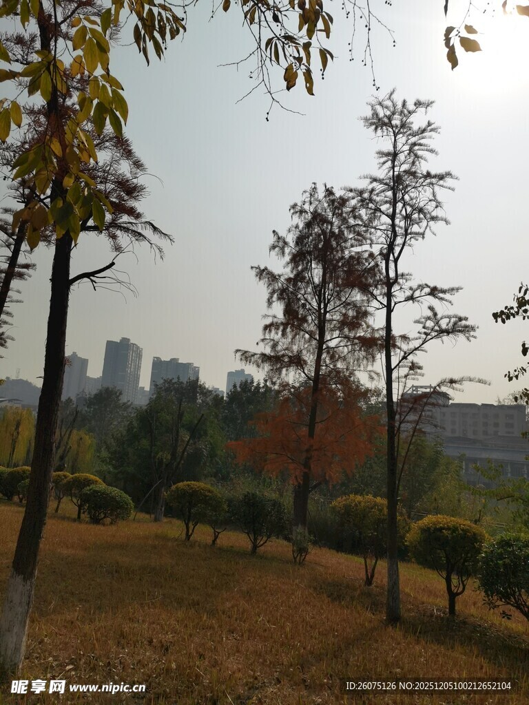 秋日城市公园风景