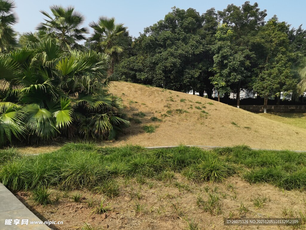 户外绿意盎然的开阔草地