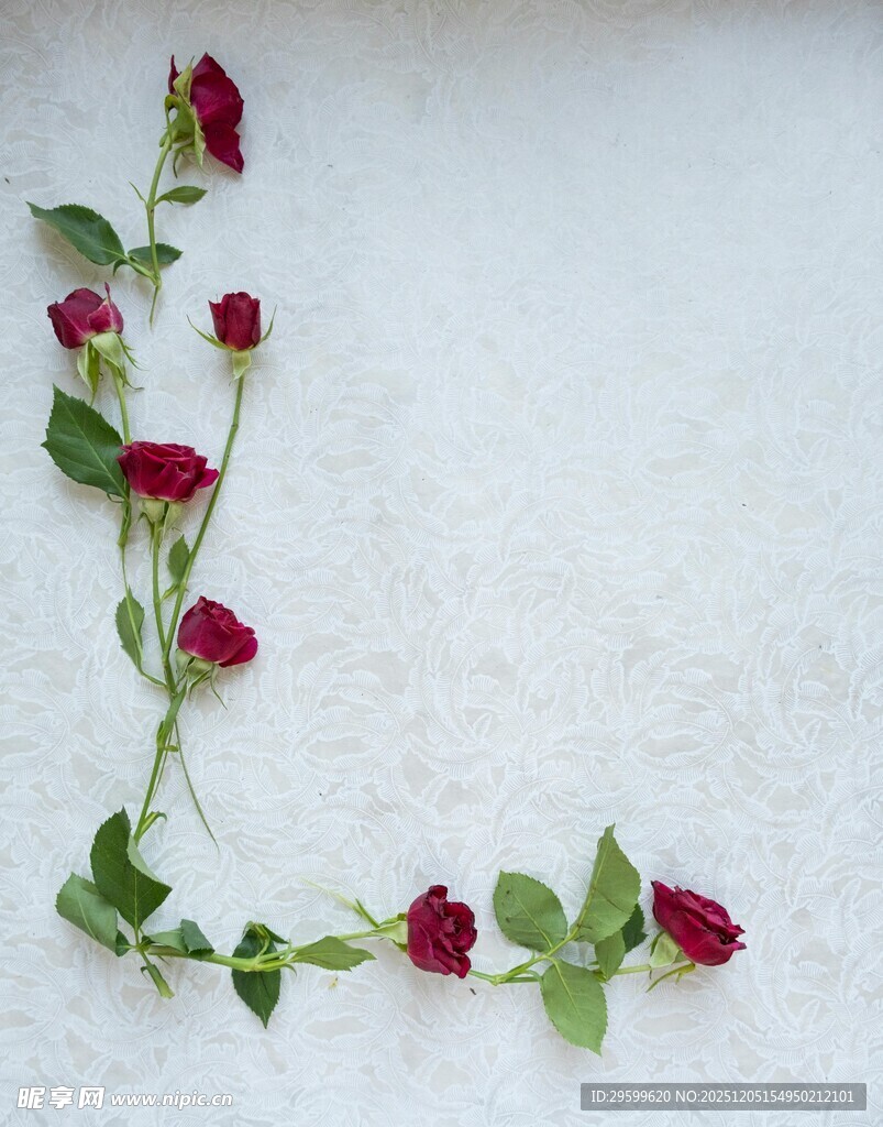 红玫瑰藤蔓装饰