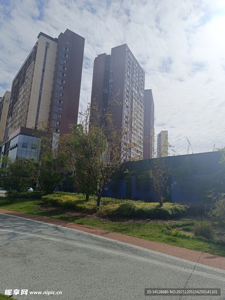 城市高楼旁的绿化景观