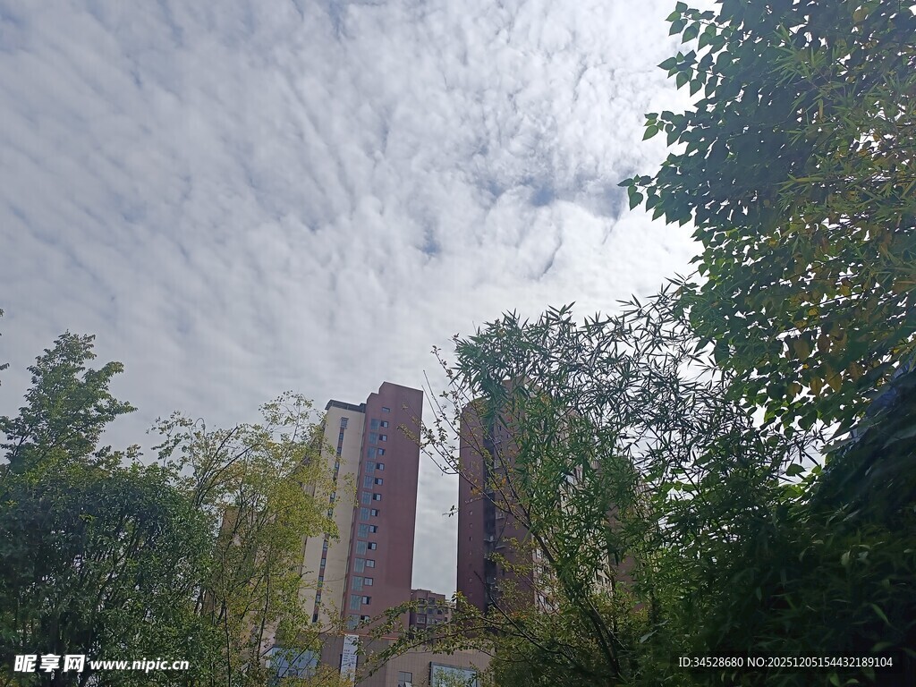 林间多彩建筑景观