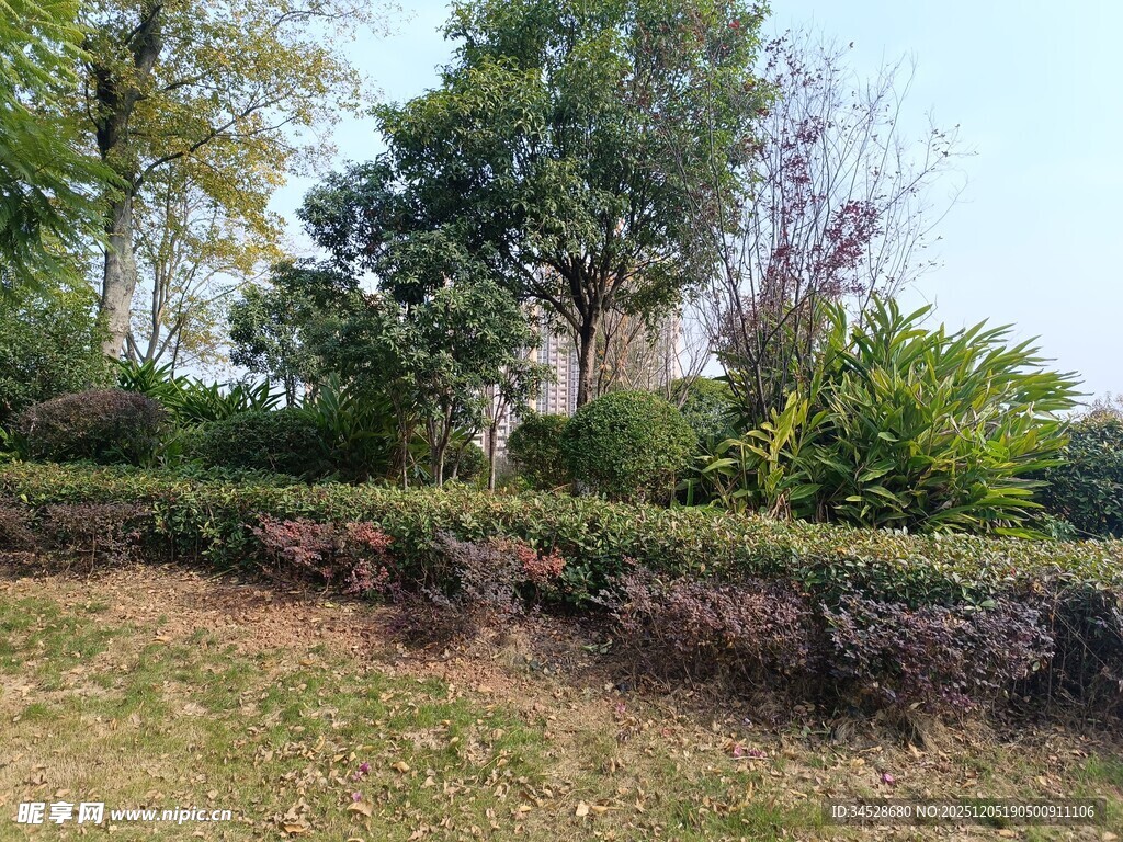 户外绿植景观一角