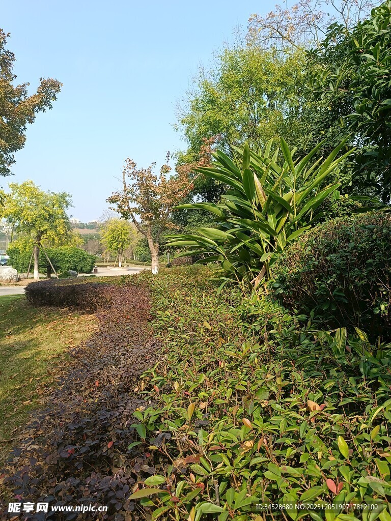 户外绿植景观一角