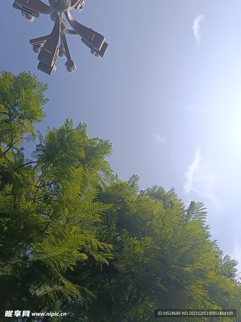 空中风车与翠绿树木