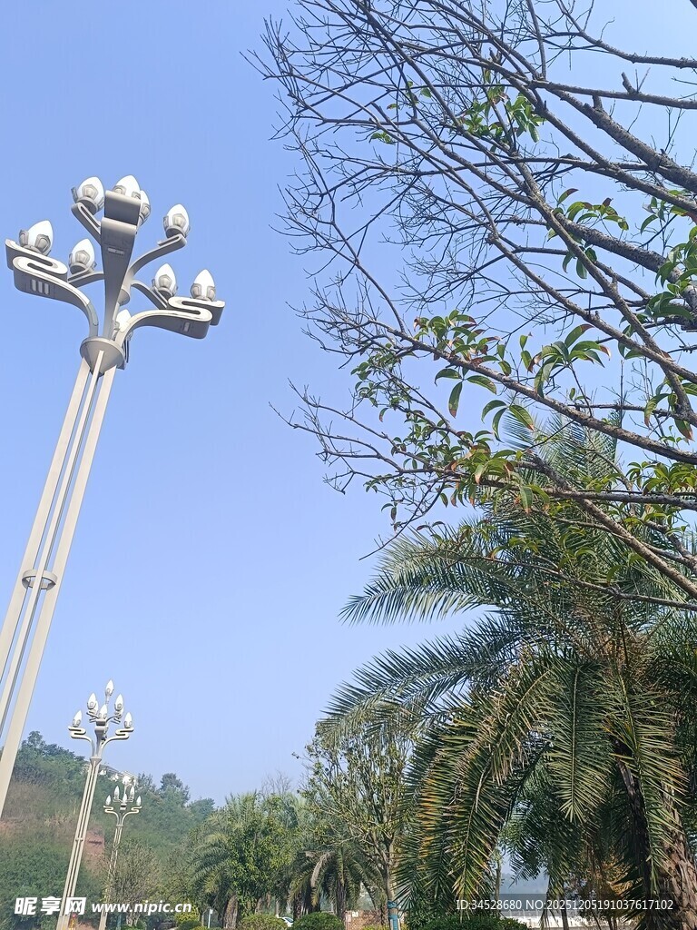 户外路灯与绿树蓝天景象
