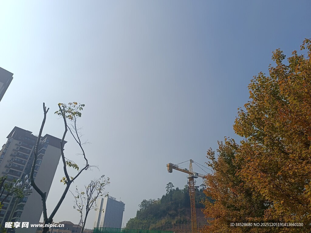 城市秋日景象与建筑塔吊