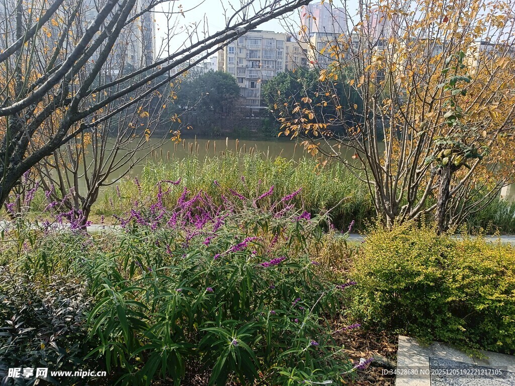 城市中的多彩植物景观