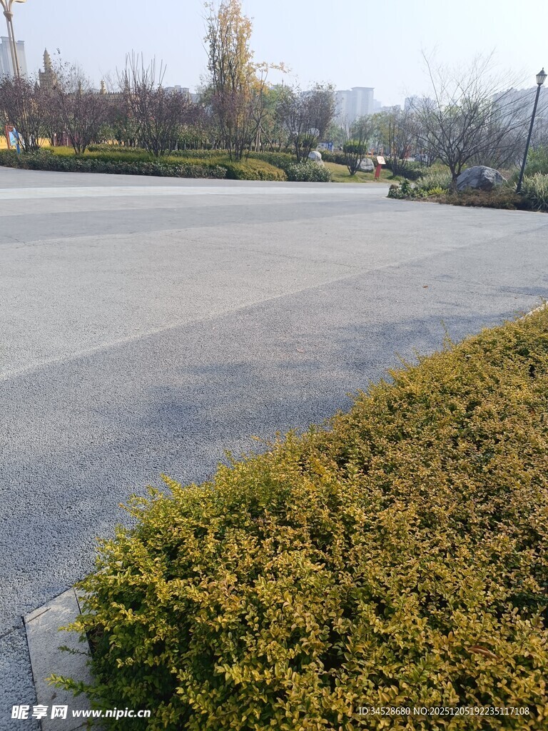 户外整洁的绿植与空旷场地