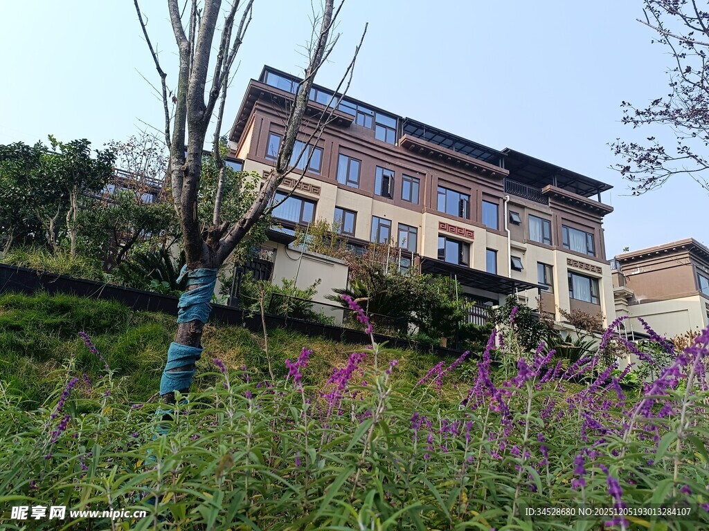 山坡上的多彩房屋与花丛