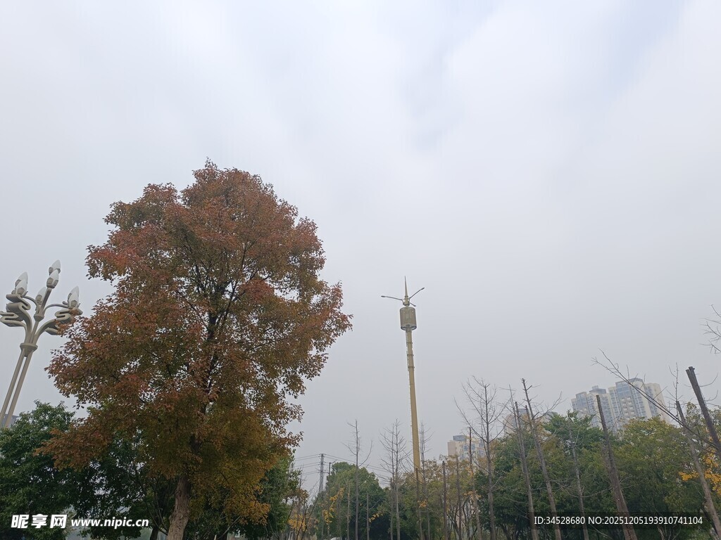 秋日雾中树木与高塔景观