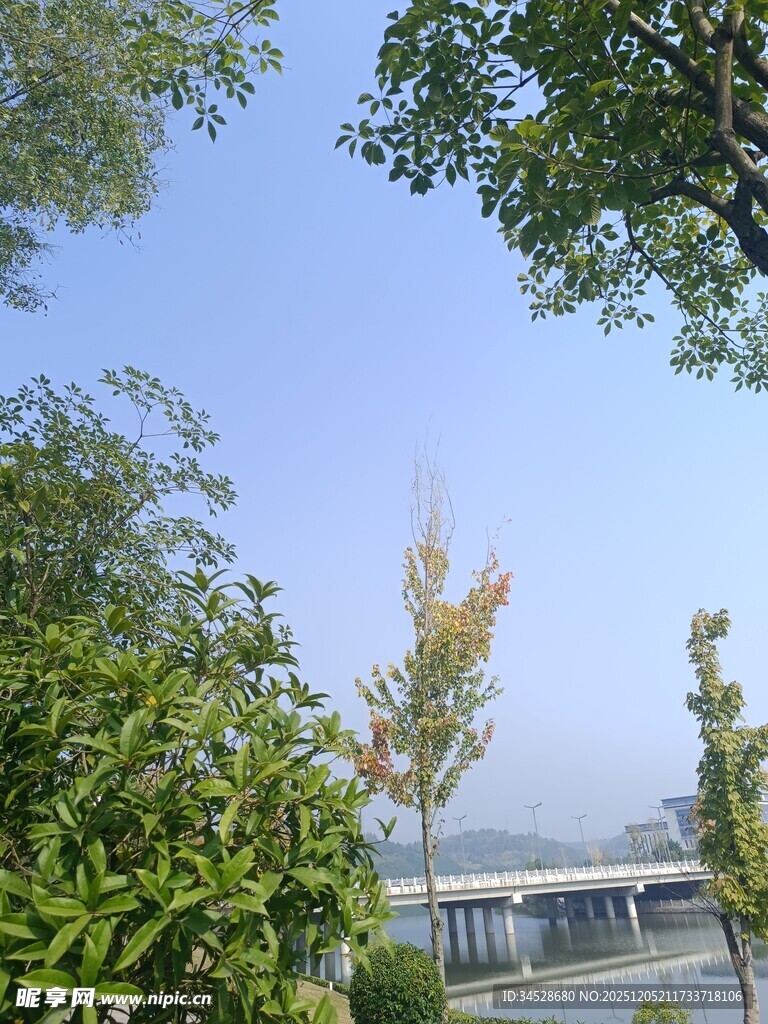 绿树掩映下的远处桥梁