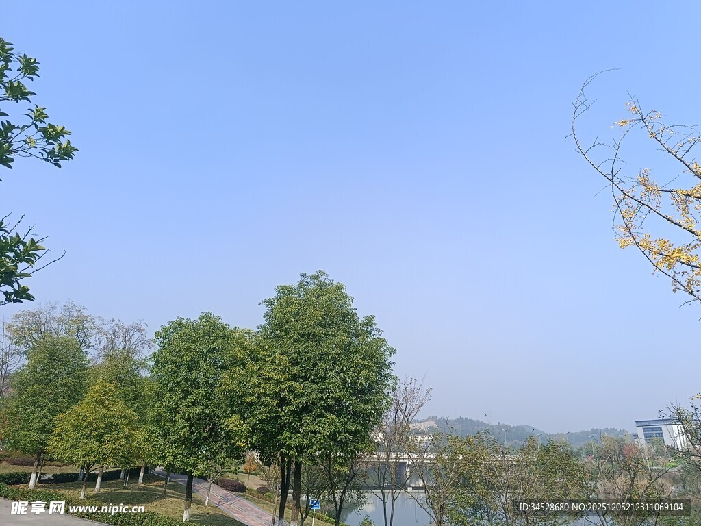 湖畔绿树成荫的宜人景致