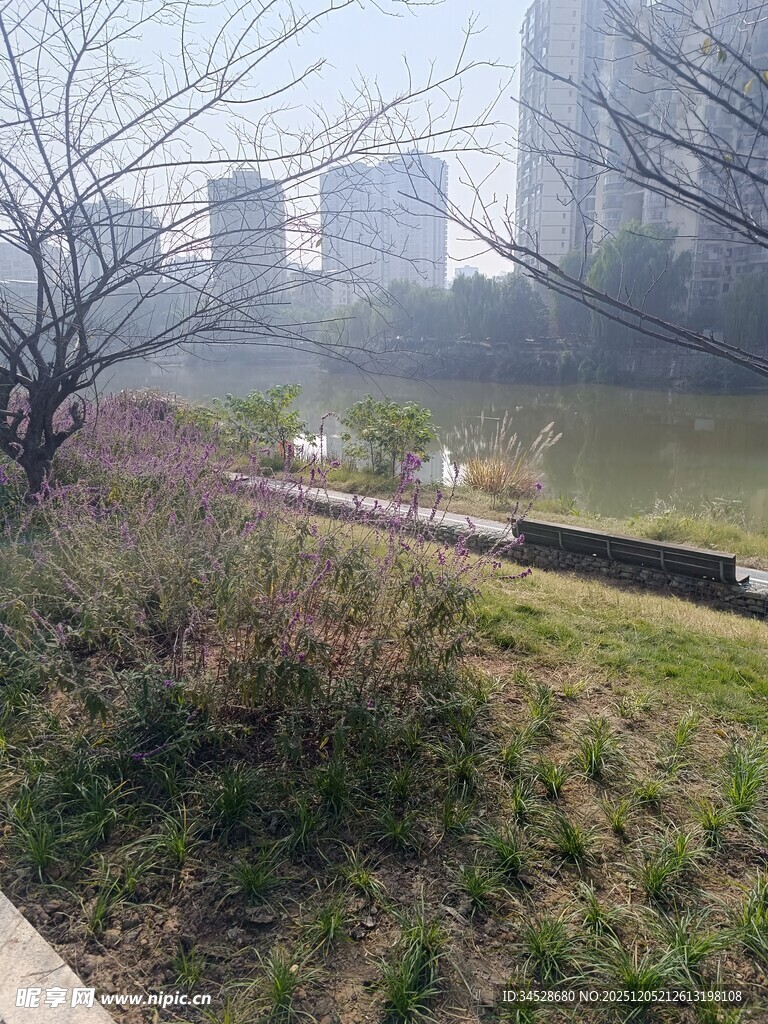城市河畔风景