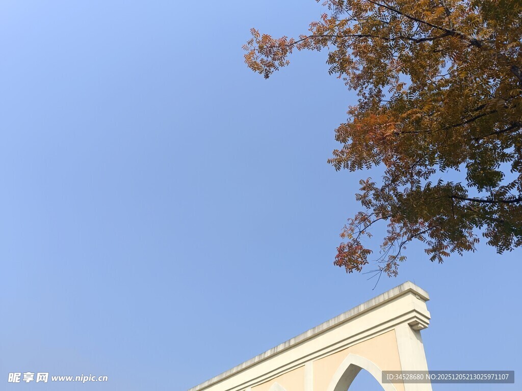 屋顶与树梢映衬蓝天