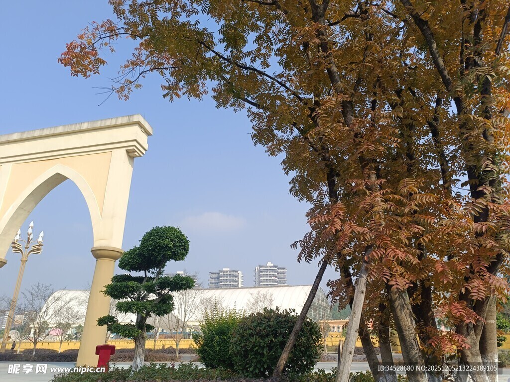 校园拱门旁的秋日景致