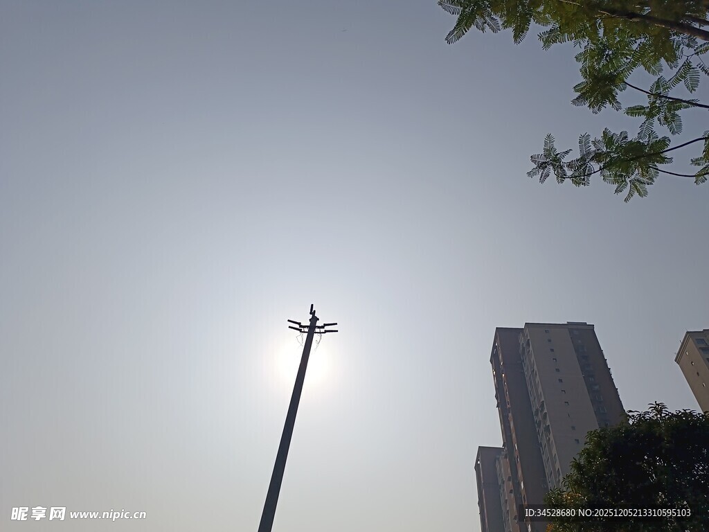 城市中逆光的路灯与高楼