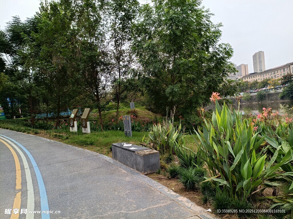 城市中的静谧绿植小径