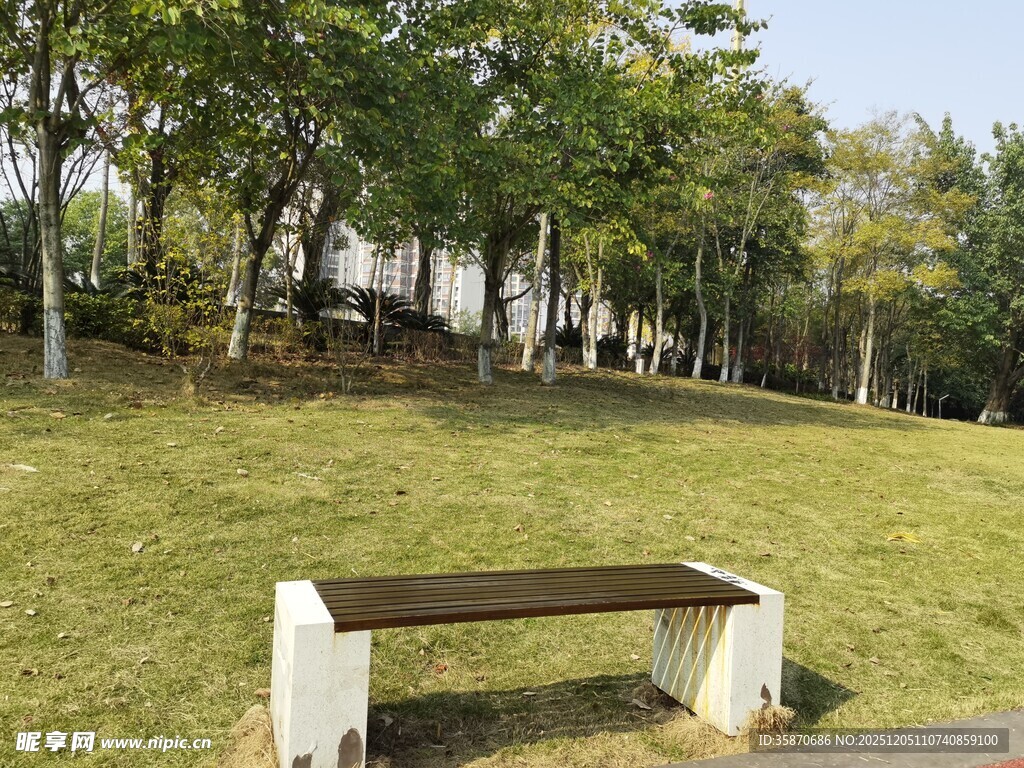 公园草地中的休闲长椅
