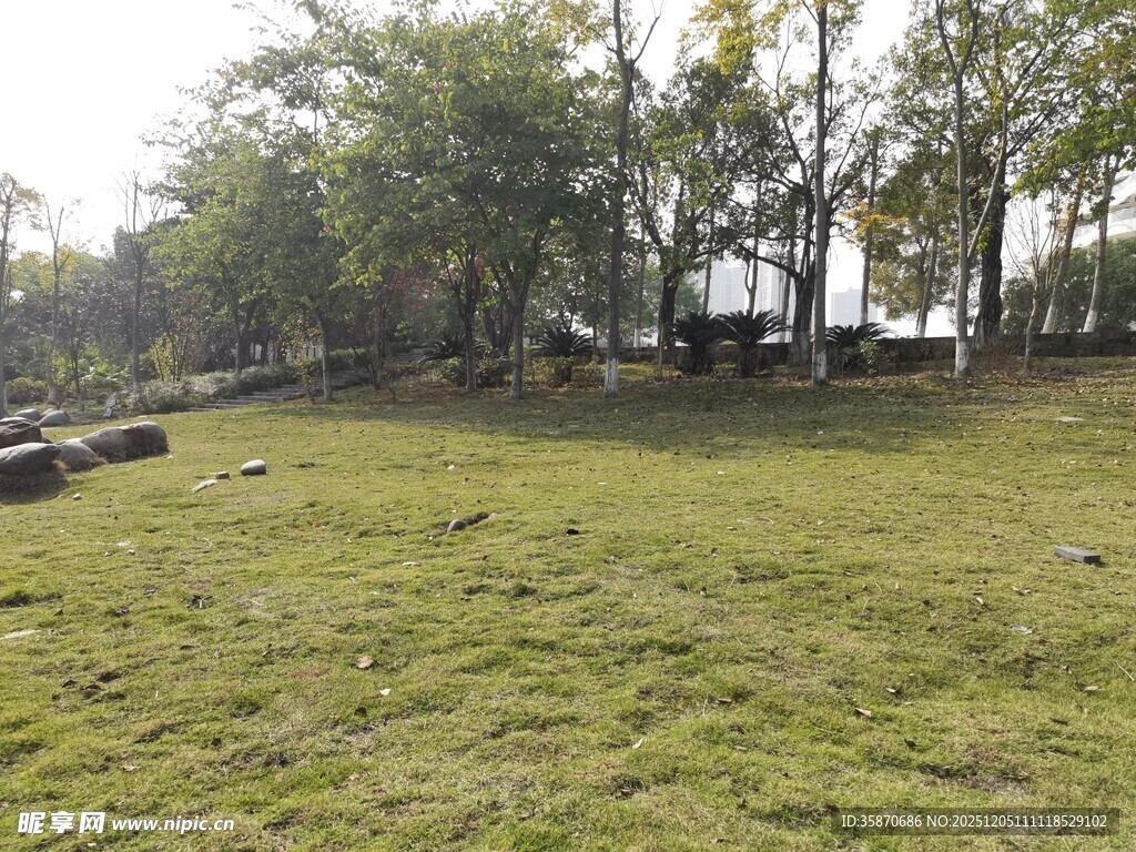 户外草地树林自然场景