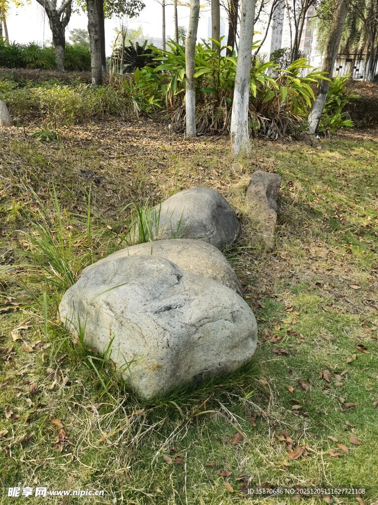 草地上的两块大石头
