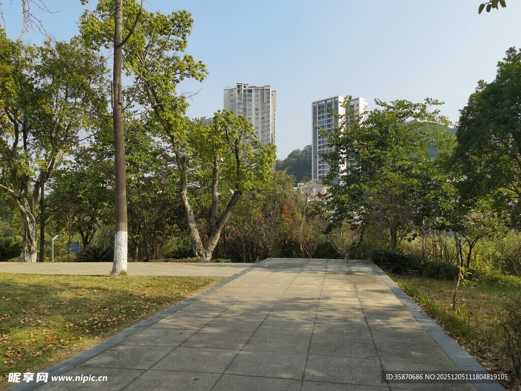 城市中静谧的林荫步道