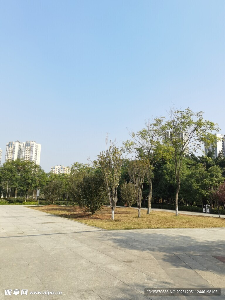 城郊开阔道路与绿树景观
