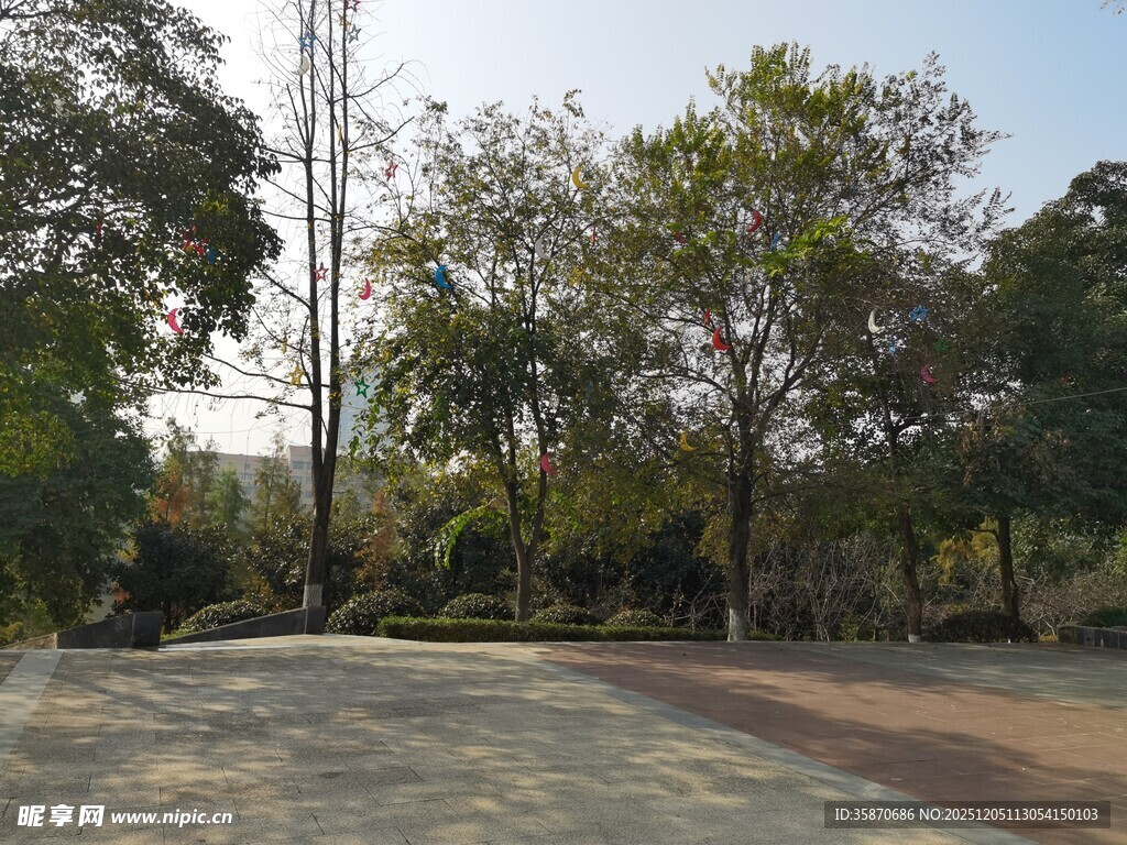 宁静公园的开阔林荫场景