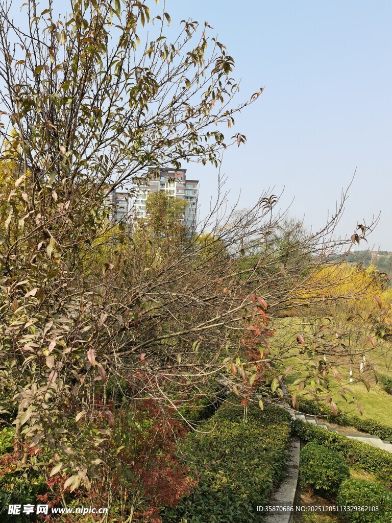 秋日山林小径风光