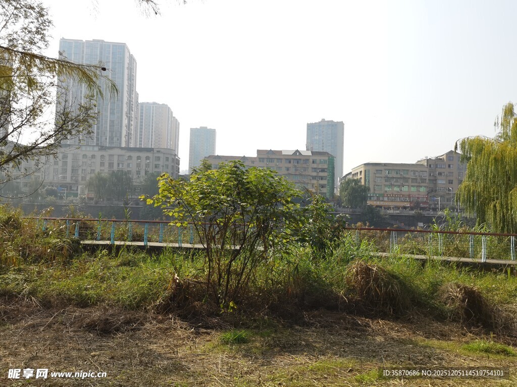 城市边的自然绿地景观