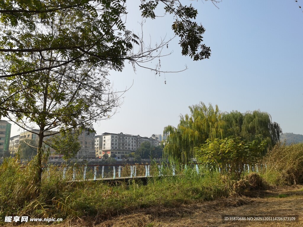 郊外自然风景与远处建筑