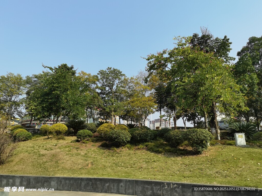 户外绿意盎然的园林景致